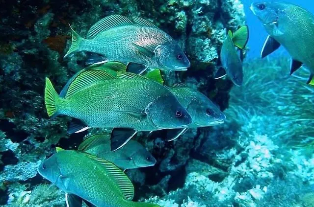 Hyerol Pour 4 Personnes Avec Parking Proche Des Plages Et Restaurants A Lejlighed Hyères